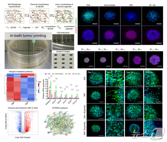  Images of research / Provided by Pusan National University