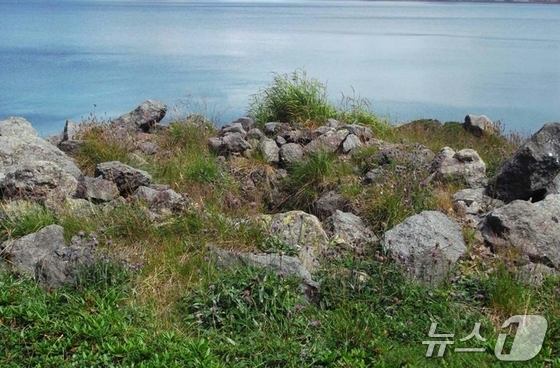 The Rodong Sinmun, the official newspaper of North Korea\'s Workers\' Party, reported on January 24 that a research team from the History Department of Kim Il Sung University has intensified its survey and excavation work on historical sites around Mount Paektu. The newspaper stated that the team, in collaboration with Novosibirsk State University in Russia, conducted radiocarbon dating on the remains, confirming that the tomb occupants were generally people from the mid-19th to late 19th centuries / Rodong Sinmun