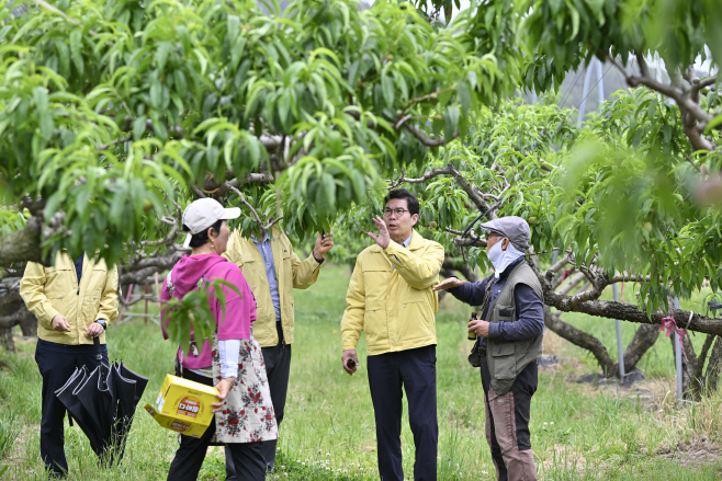 1_영덕군, 과수산업 육성에 31억 원 투입해 경쟁력 제고