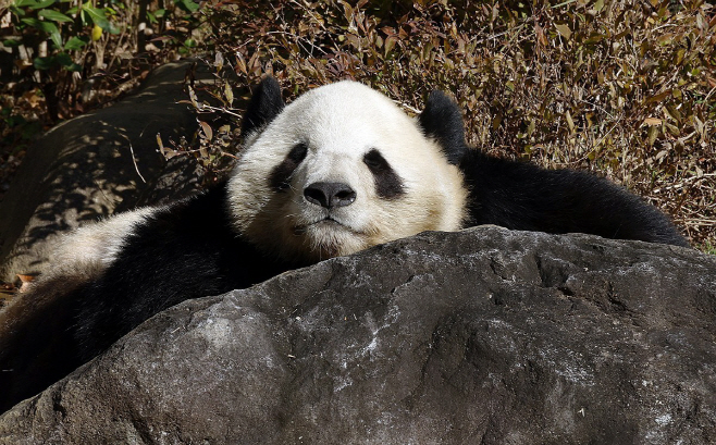 PEP20251216118001009_P4