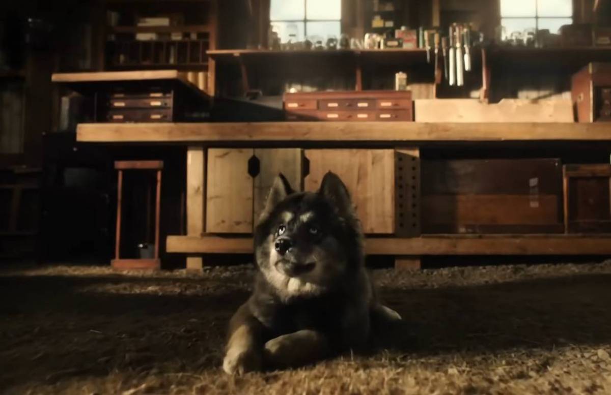  引用：YouTubeチャンネル「KinoCheck.com」