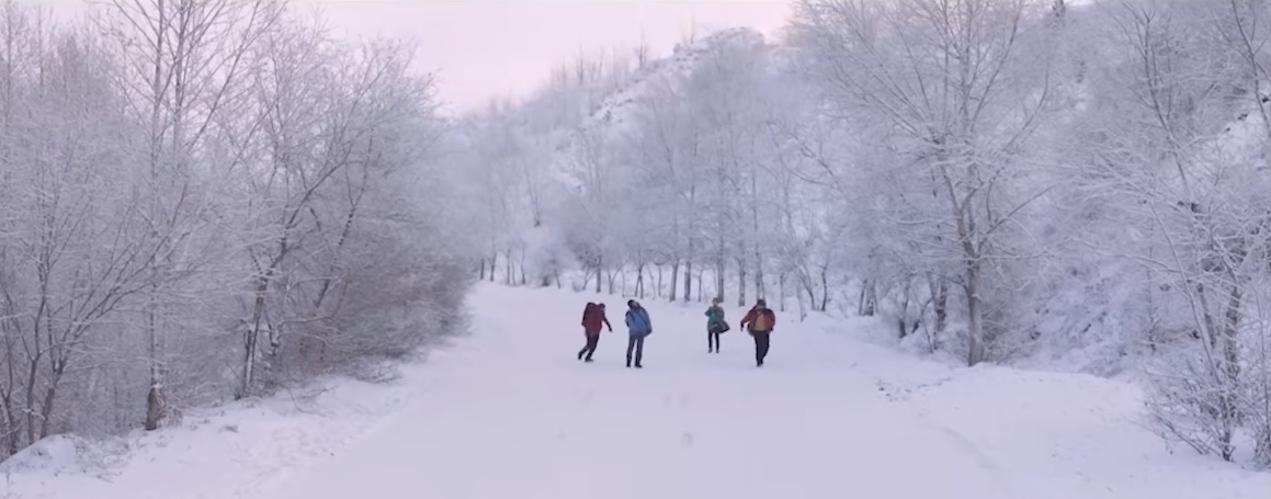引用：Netflix『僕らの先にある道』