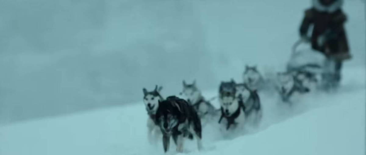  引用：YouTubeチャンネル「KinoCheck.com」