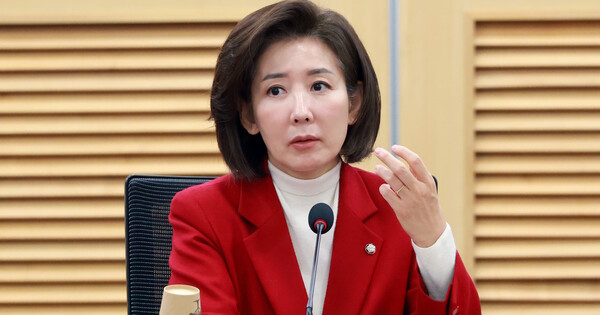 나경원 국민의힘 의원이 2025년 12월24일 국회의원회관에서 열린 온라인 접속국가 표시제 입법을 위한 정책토론회에 참석해 발언하고 있다. ⓒ 연합뉴스