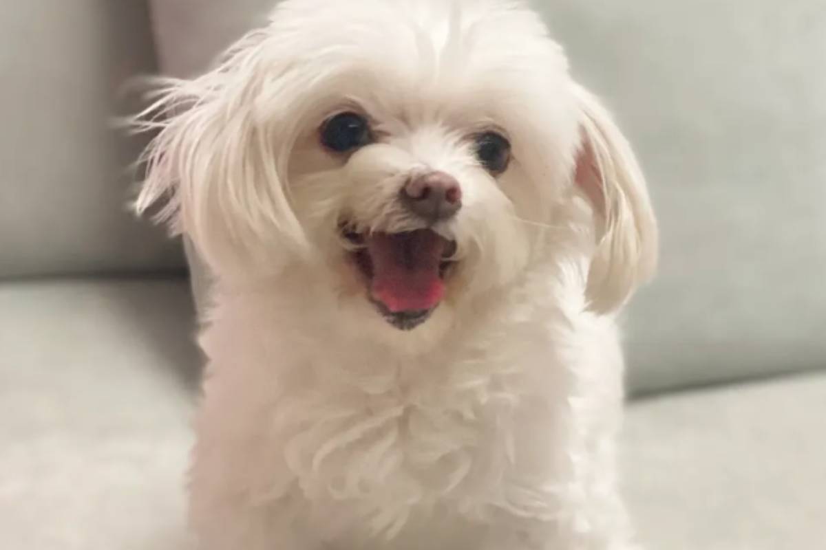 출처 : 오정연 인스타그램