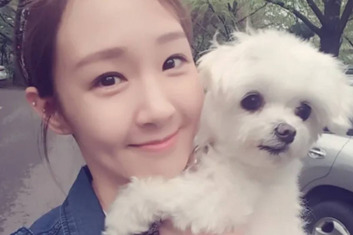출처 : 오정연 인스타그램