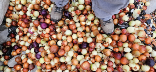 ⓒ조엘 보니치 SNS 갈무리