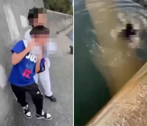 ⓒX(구 트위터) 영상 갈무리