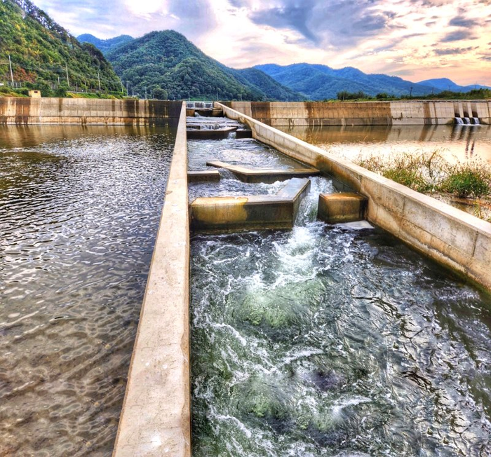 ⓒ댐 옆에 물고기 오를 수 있게 설치된 어도