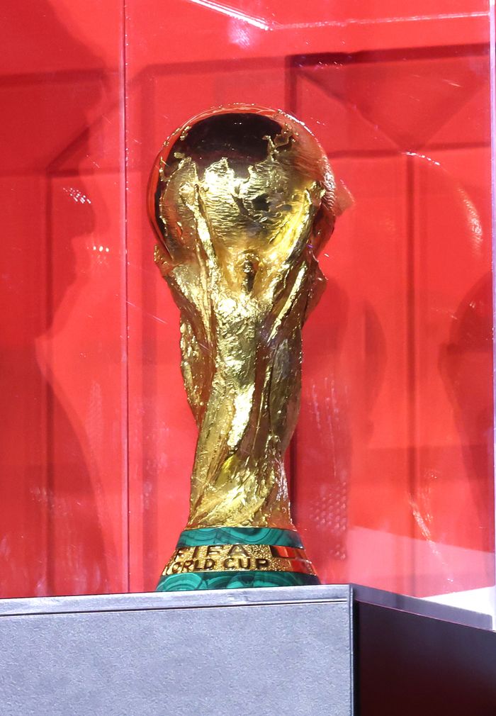 FIFA 월드컵. ⓒ 데일리안 방규현 기자