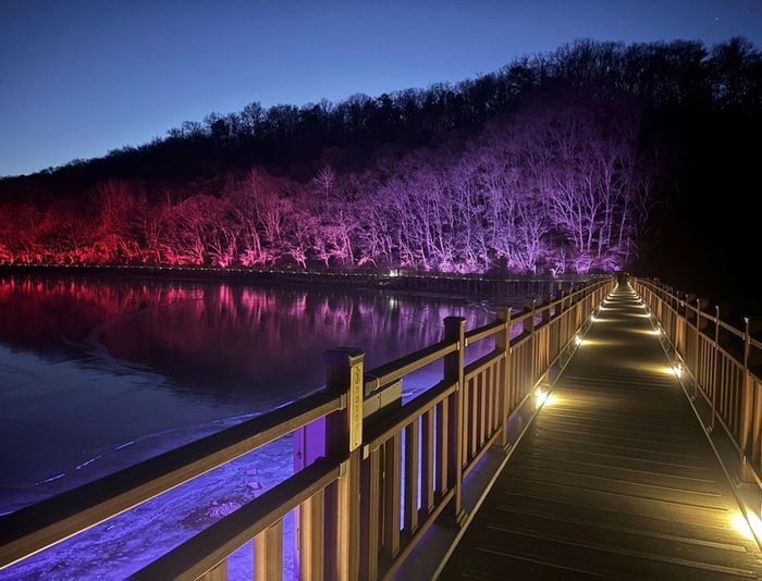 파주시가 최근 조성한 공릉호수 경관조명의 모습 ⓒ파주시 제공