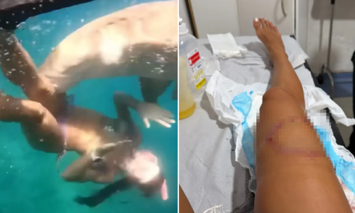 ⓒ더 선 갈무리