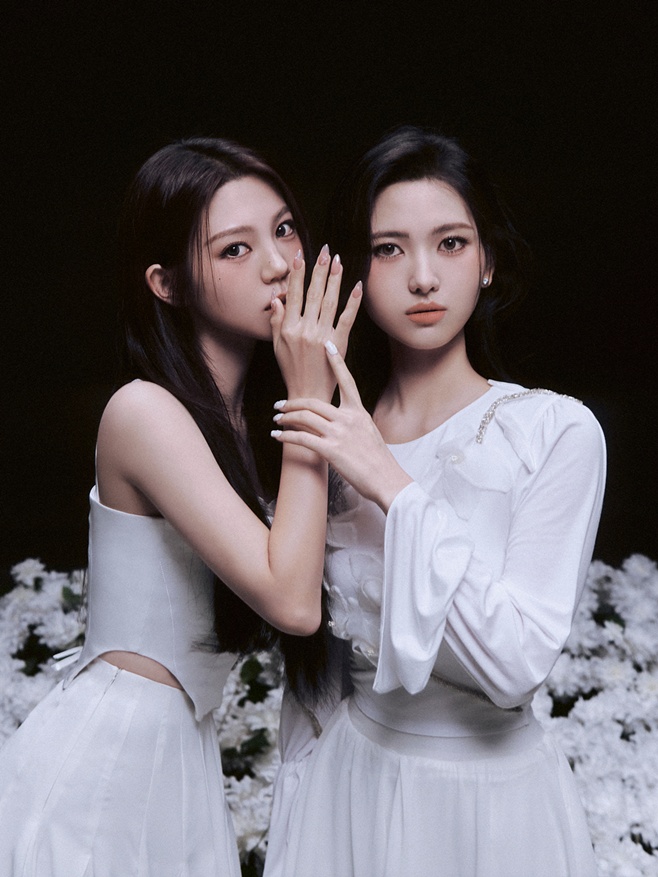 티브이데일리 포토