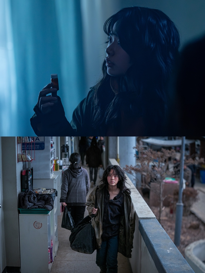 티브이데일리 포토