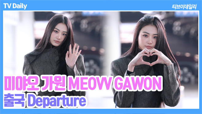 티브이데일리 포토