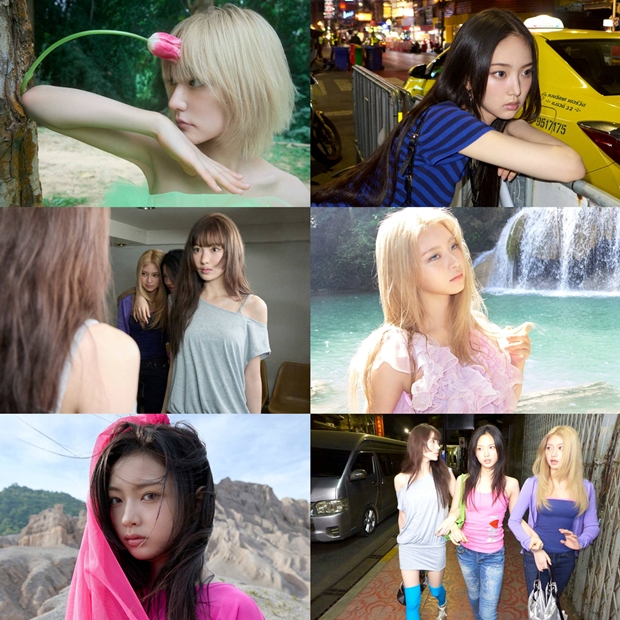 티브이데일리 포토