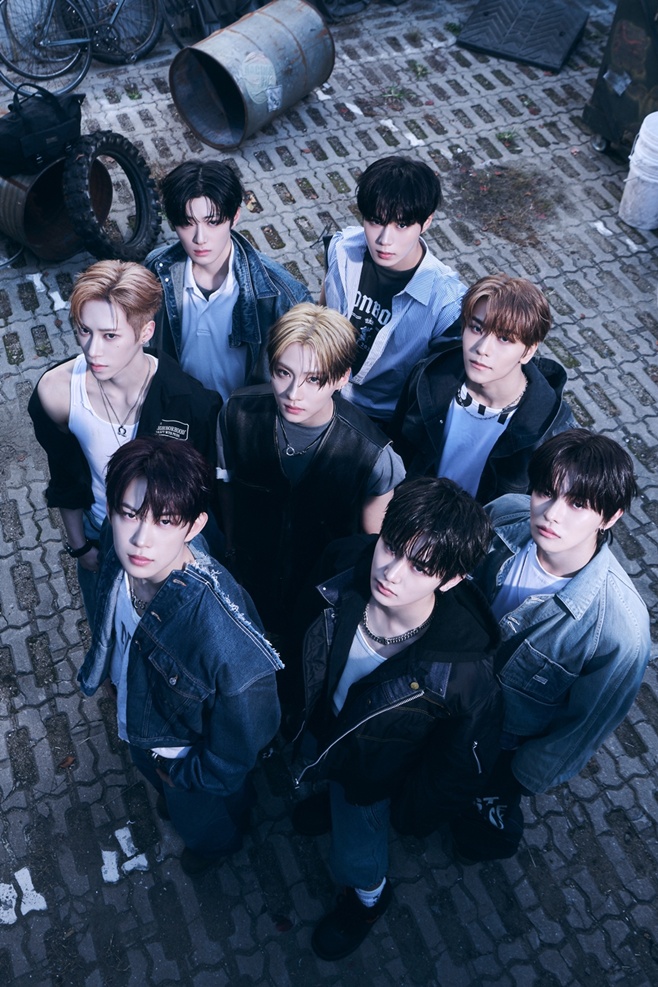 티브이데일리 포토