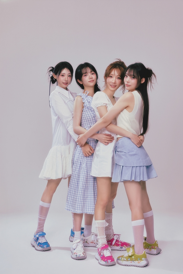 티브이데일리 포토