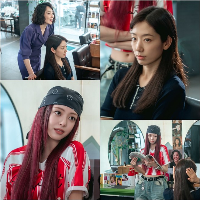 티브이데일리 포토