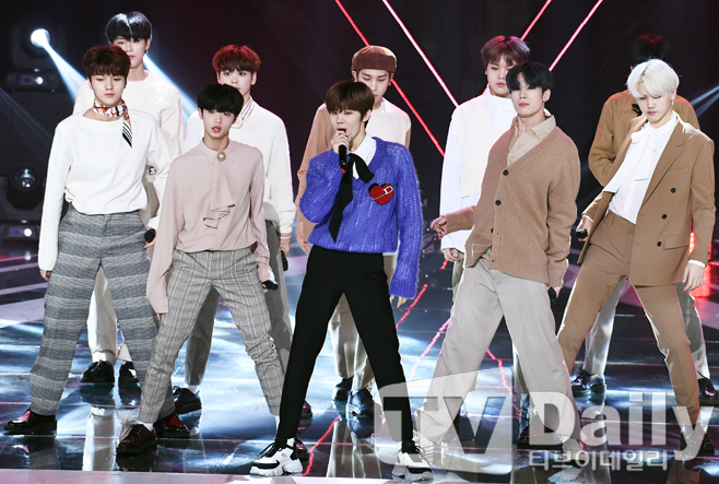 티브이데일리 포토