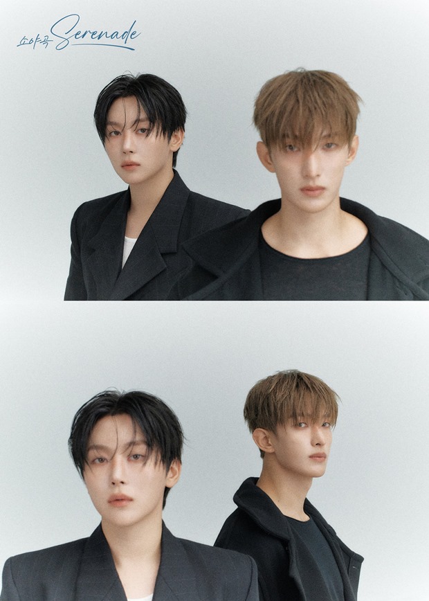 티브이데일리 포토