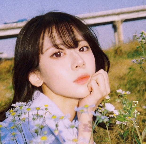 티브이데일리 포토