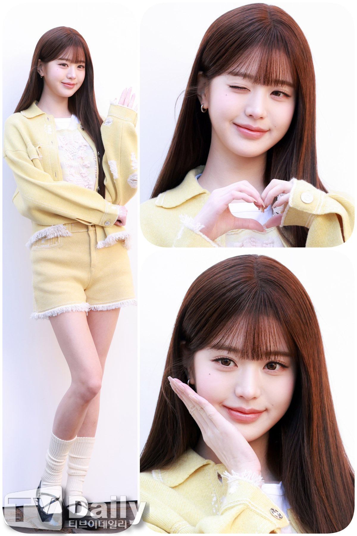 티브이데일리 포토