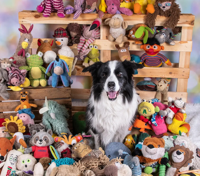 실험에 참가한 '영리한 단어 학습자'(Gifted Word Learners · GWLs) 라피. 사진=Stefanie Lindemann