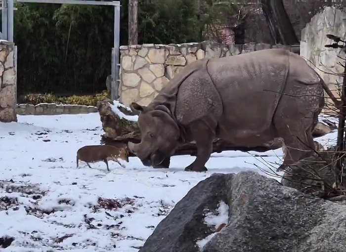 출처=인스타그램(zoowroclaw)