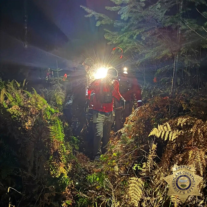 지난달 29일(현지시간) 미국 오리건주에서 80대 여성과 반려견 실종 신고를 받고 수색 작업이 진행된 숲. 사진=레인 카운티 보안관 사무소