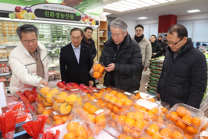 신년을 맞아 강호동 농협중앙회장(왼쪽에서 3번째)이 서서울농협 하나로마트 매장을 방문해 친환경 농산물을 점검하며 물가 동향을 살펴보고 있다. (사진=농협중앙회)