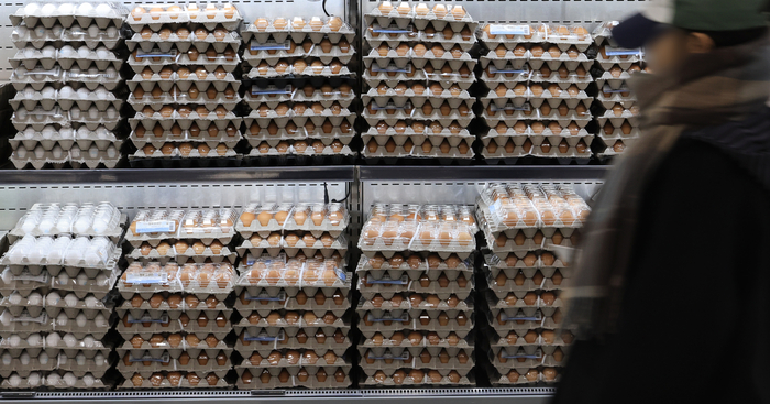 지난 7일 서울시내 한 마트에서 시민이 계란을 고르고 있다. 정부는 이날 열린 첫 민생경제관계장관회의에서 조류인플루엔자(AI) 확산으로 늘고 있는 산란계 살처분에 선제 대응으로 신선란 224만개 수입절차에 즉시 착수한다고 밝혔다. (사진=연합뉴스)