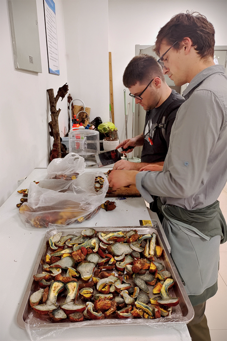 콜린 돔나우어가 동료와 함께 란마오아 아시아티카를 연구하고 있다. 사진=유타대학교