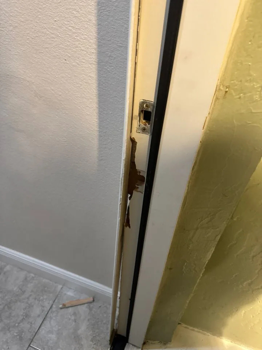 벨튀 장난으로 망가진 문으로 인해 집 밖으로 나갔다가 숨진 반려견 스푸키. 사진=볼루시아 카운티 보안관 사무실