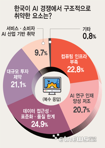 한국이 AI 경쟁에서 구조적으로  취약한 요소는?