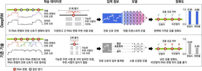 기존 RNA 변형 검출 기술과 DeepRM의 비교도. (백대현 교수)