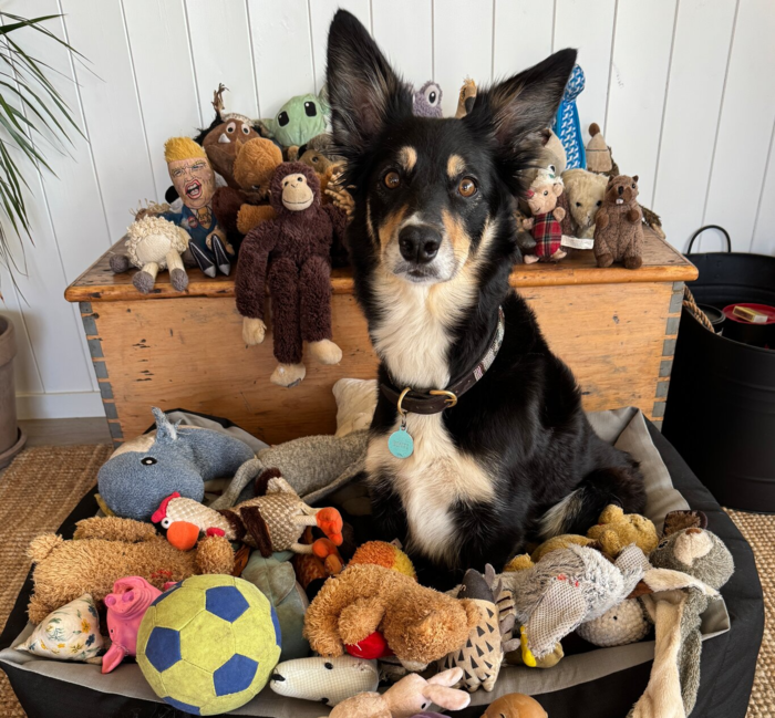 실험에 참가한 '영리한 단어 학습자'(GWLs) 빈티. 사진=Joyce Poole