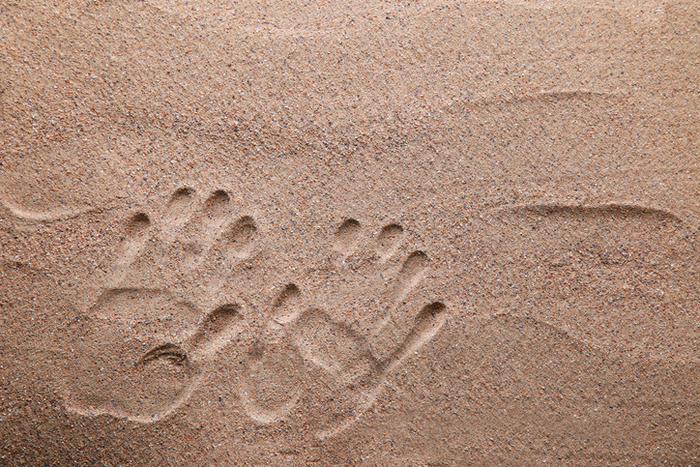 기사와 직접적 연관 없음. 사진=게티이미지뱅크