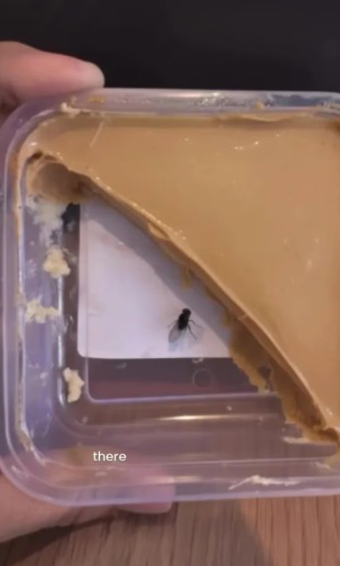 음식에 파리가 있는 것처럼 조작한 사진. 사진=엑스