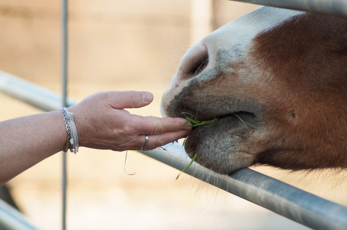 기사와 직접적 연관 없음. 사진=게티이미지뱅크