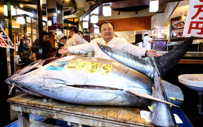 초밥 체인 스시 잔마이를 운영하는 기요무라의 기무라 기요시 사장이 도쿄 도요스 시장에서 5억 1030만엔에 구입한 참다랑어를 자랑하고 있다. 사진=재팬타임스