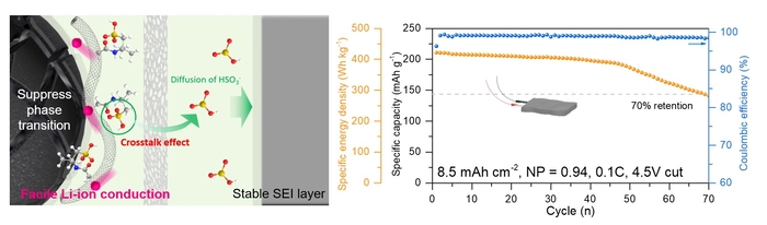 연구관련 이미지 기능성 탄소나노튜브의 양극·음극 구조 안정화 및 리튬이온 전도 향상 효과(왼쪽)와 고에너지밀도 파우치 셀 구동 안정성 향상 그래프