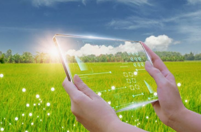 (사진=게티이미지뱅크)