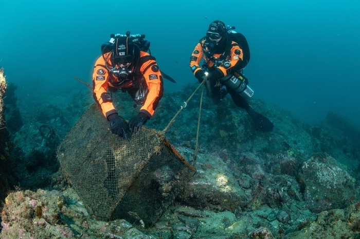 현대차 해양 생물 서식지 복원 활동.