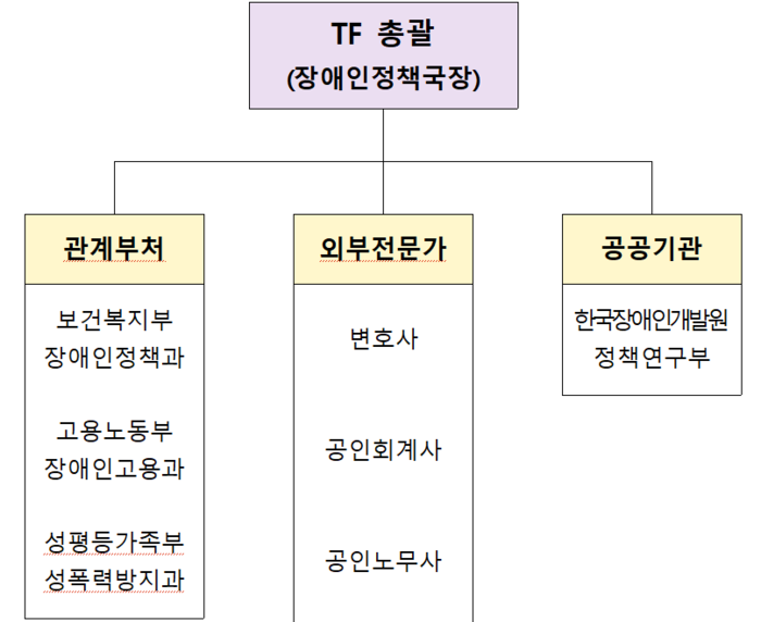 장애인 단체 운영 지침 마련 태스크포스 구조도(자료=보건복지부)