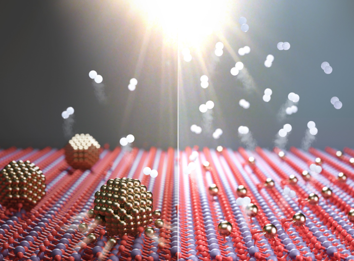 백금 원자의 구조적 안정성에 따른 수소 생산 차이를 보여주는 개념도. 공간적으로 충분히 분리된 백금 원자(왼쪽)는 반응 중 뭉치지 않고 활성화된 전자와 효율적으로 반응한다. (유성주 교수 제공)