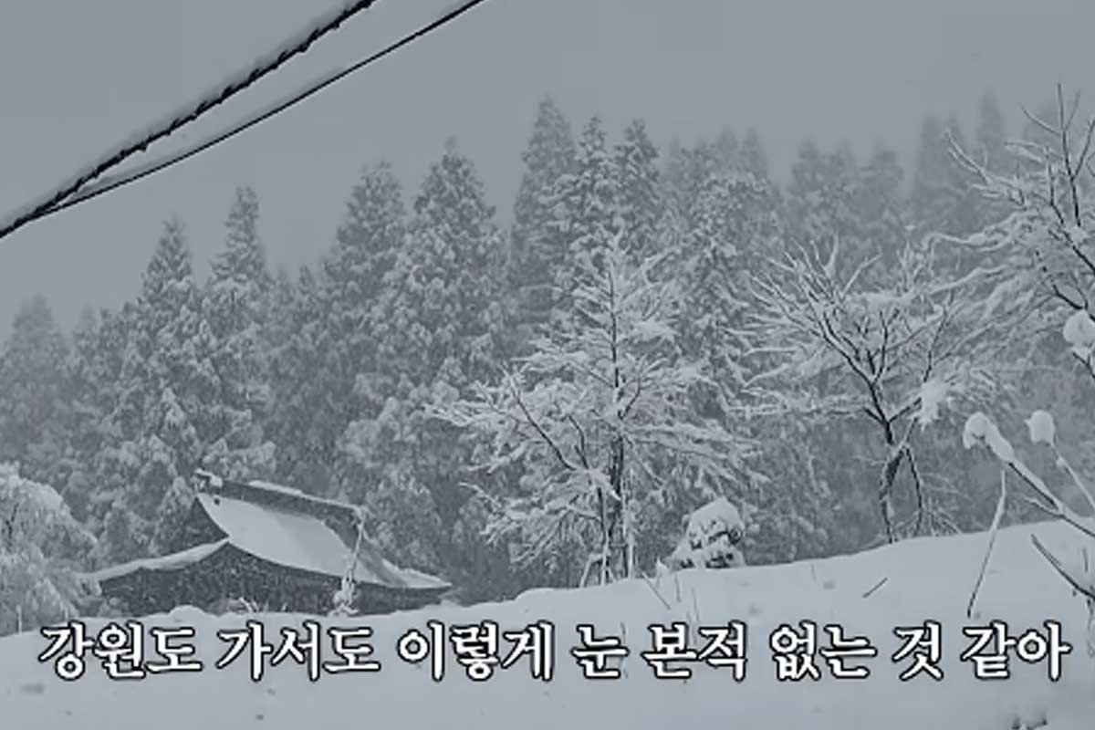 출처 : 유튜브 채널 '김영철 오리지널'