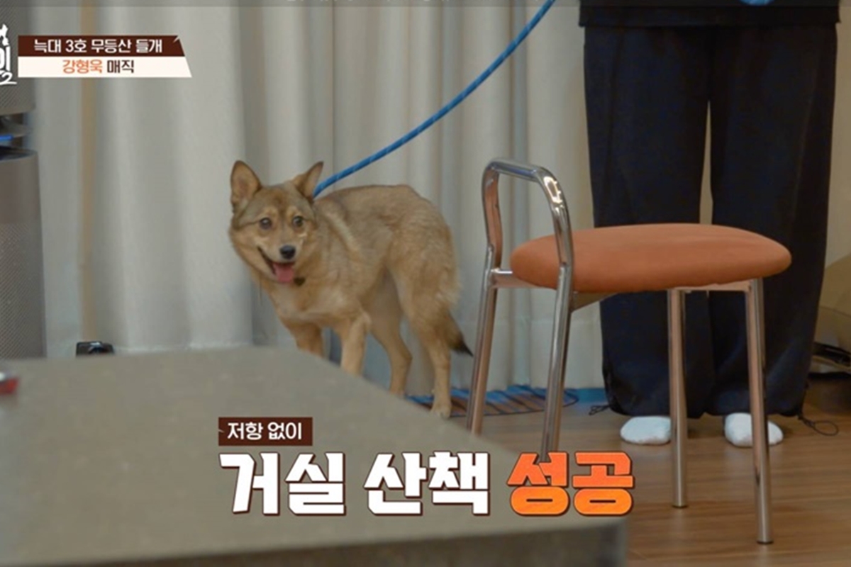 출처: 채널A '개와 늑대의 시간2'