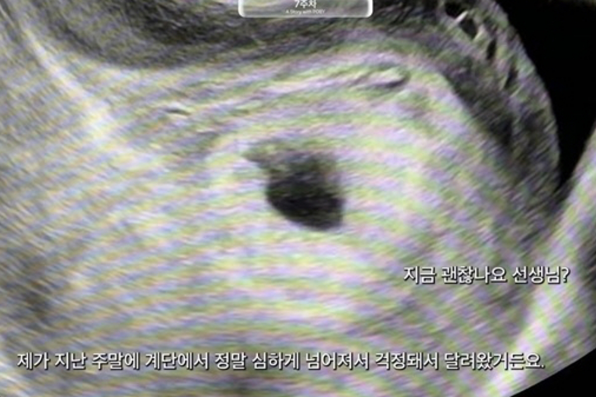 출처: 유튜브 '김지영'