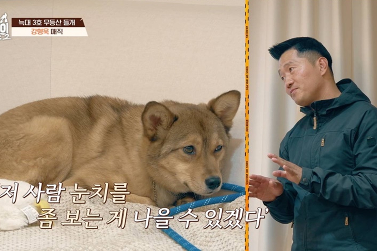 출처: 채널A '개와 늑대의 시간2'